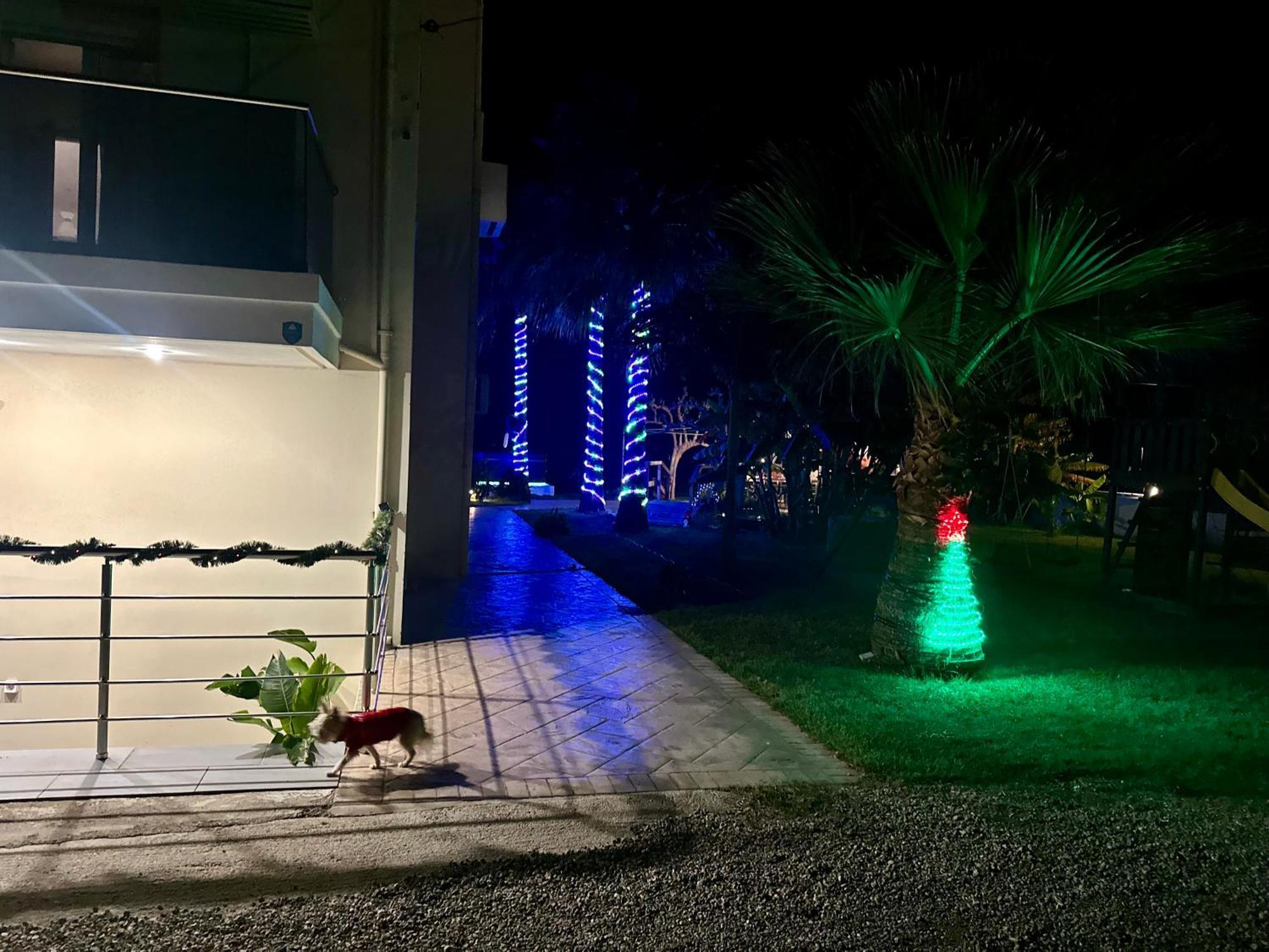 Martimi Apartments - 200M From Drapanias Beach - Pool - Hot Tub - Sauna - Bbq Киссамос Экстерьер фото