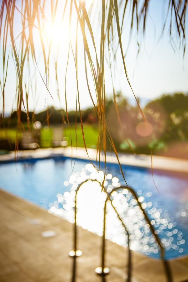Martimi Apartments - 200M From Drapanias Beach - Pool - Hot Tub - Sauna - Bbq Киссамос Экстерьер фото